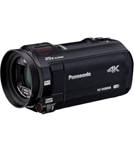 ほぼ新品　Panasonic HC-VX2MS 4K ビデオカメラ本体ケース付き パナソニック(Panasonic) 4K デジタルビデオカメラ HC-VX2MS-K